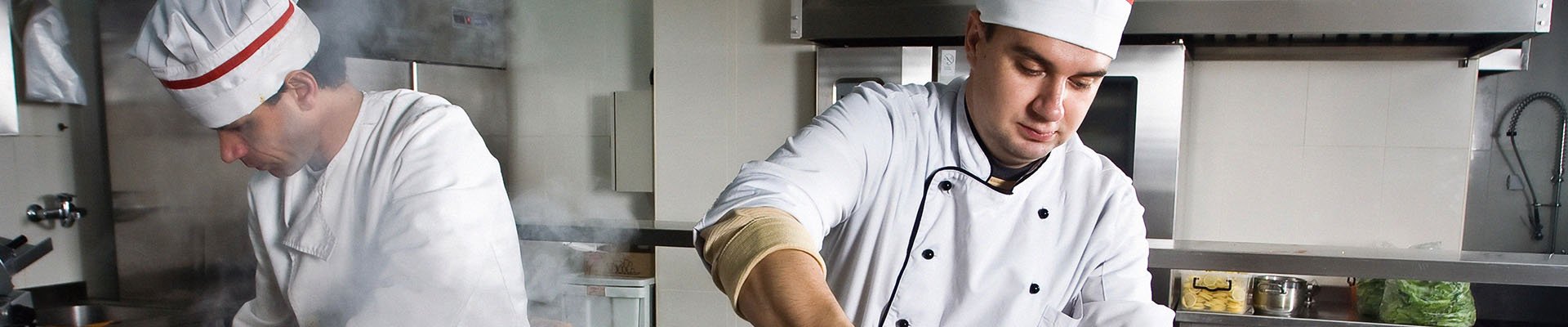 Best Fly Traps in the Middle East